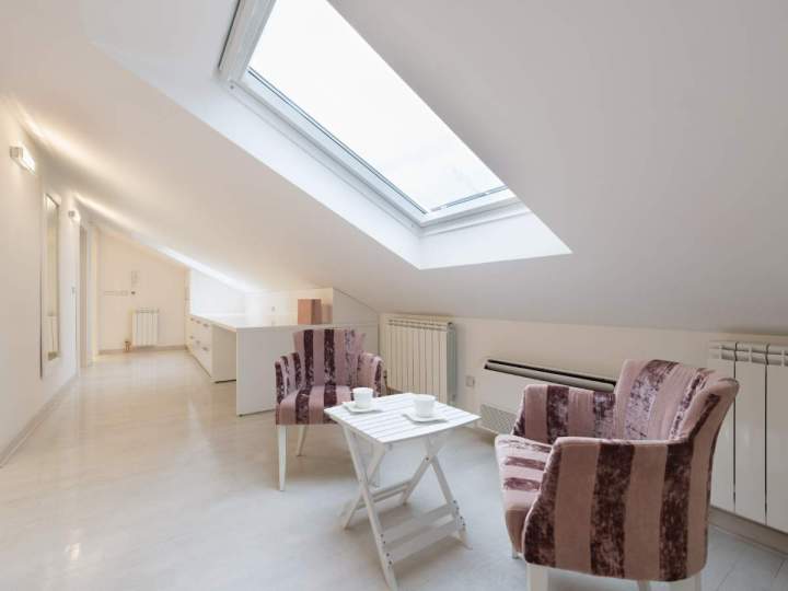 Pose de velux Lyon